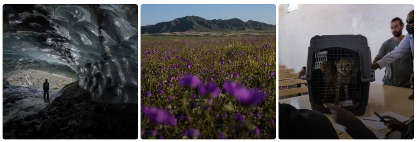 Виджет Инстаграм ленты для сайта